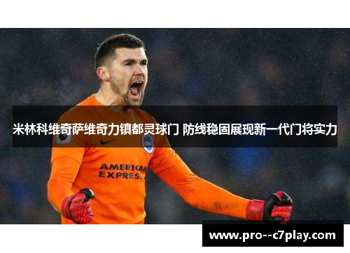米林科维奇萨维奇力镇都灵球门 防线稳固展现新一代门将实力
